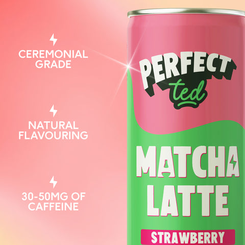 Matcha Latte Bundle