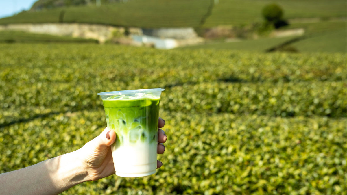a hand holding a cup of iced green tea