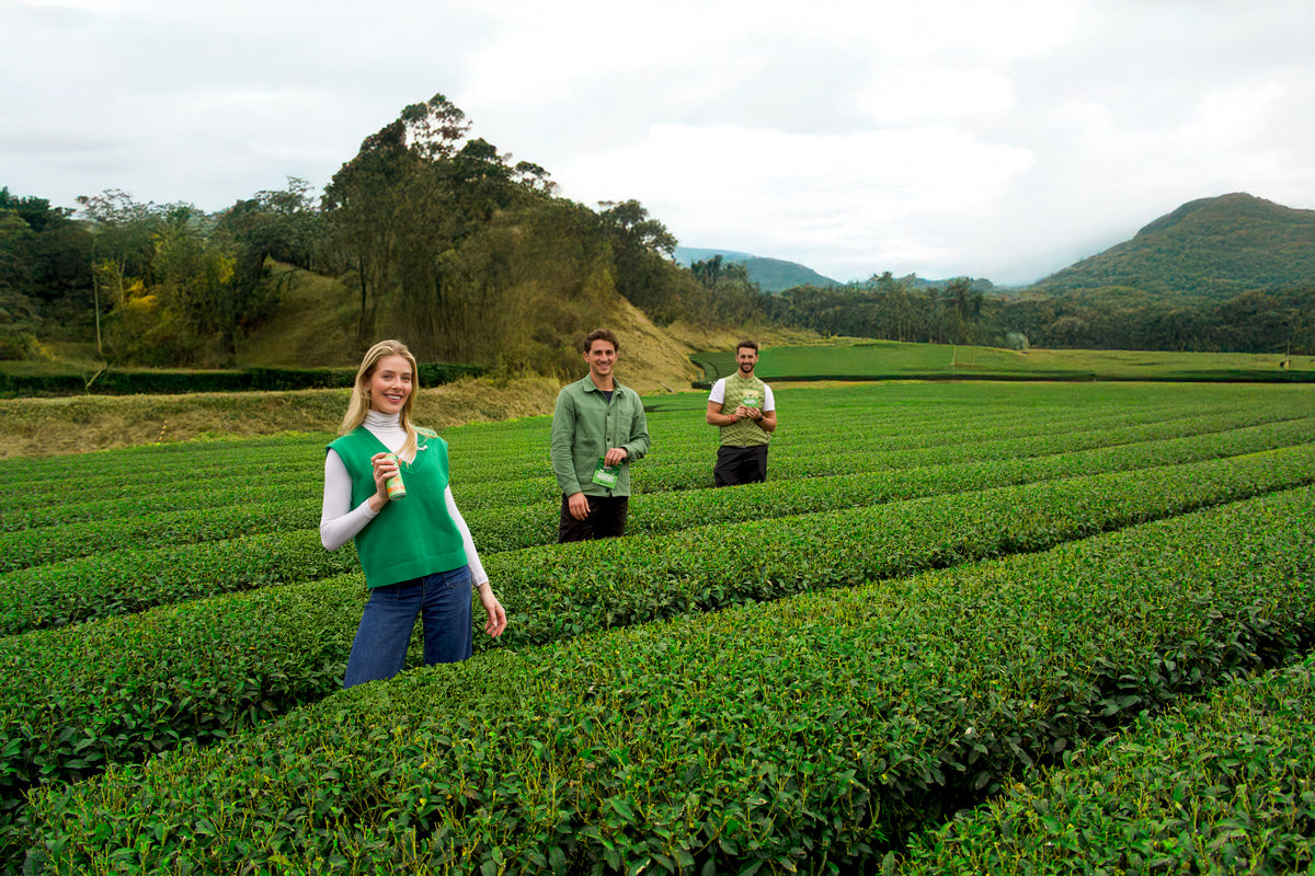 a group of people standing in a field of green plants