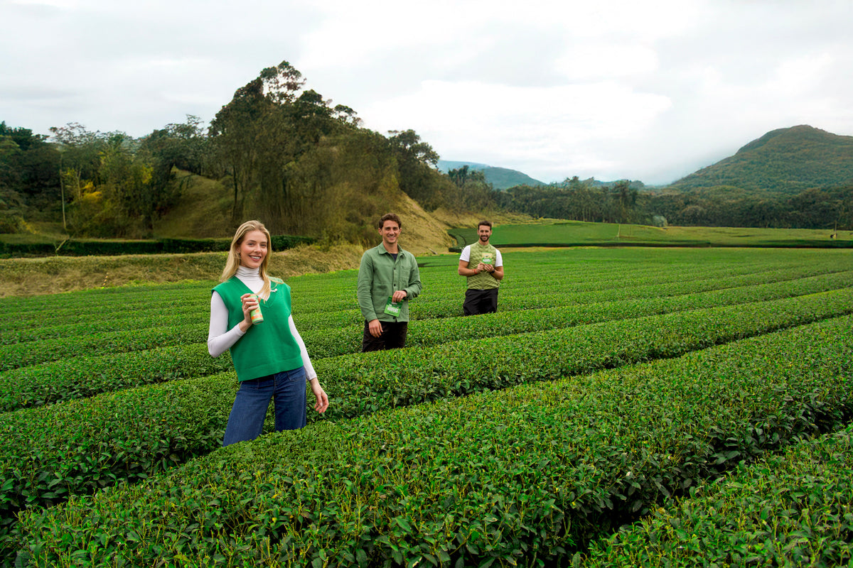a group of people standing in a field of green plants