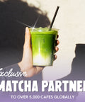 Blueberry Matcha Powder - PerfectTed - Matcha Powder