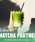 Matcha Variety Pack - PerfectTed - 