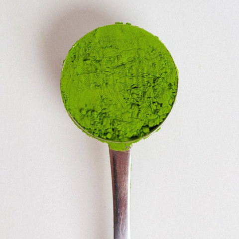 perfect scoop - PerfectTed - Teaware