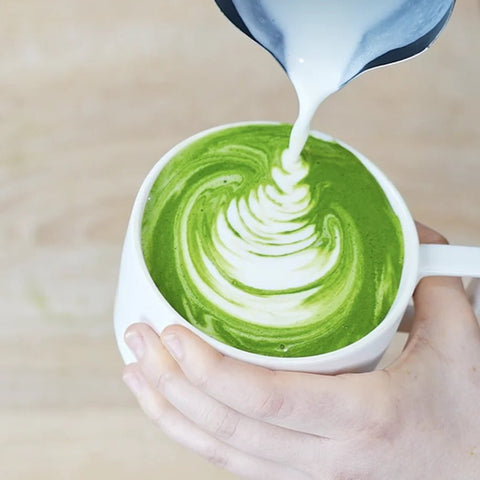Perfect Scoop - PerfectTed - Teaware