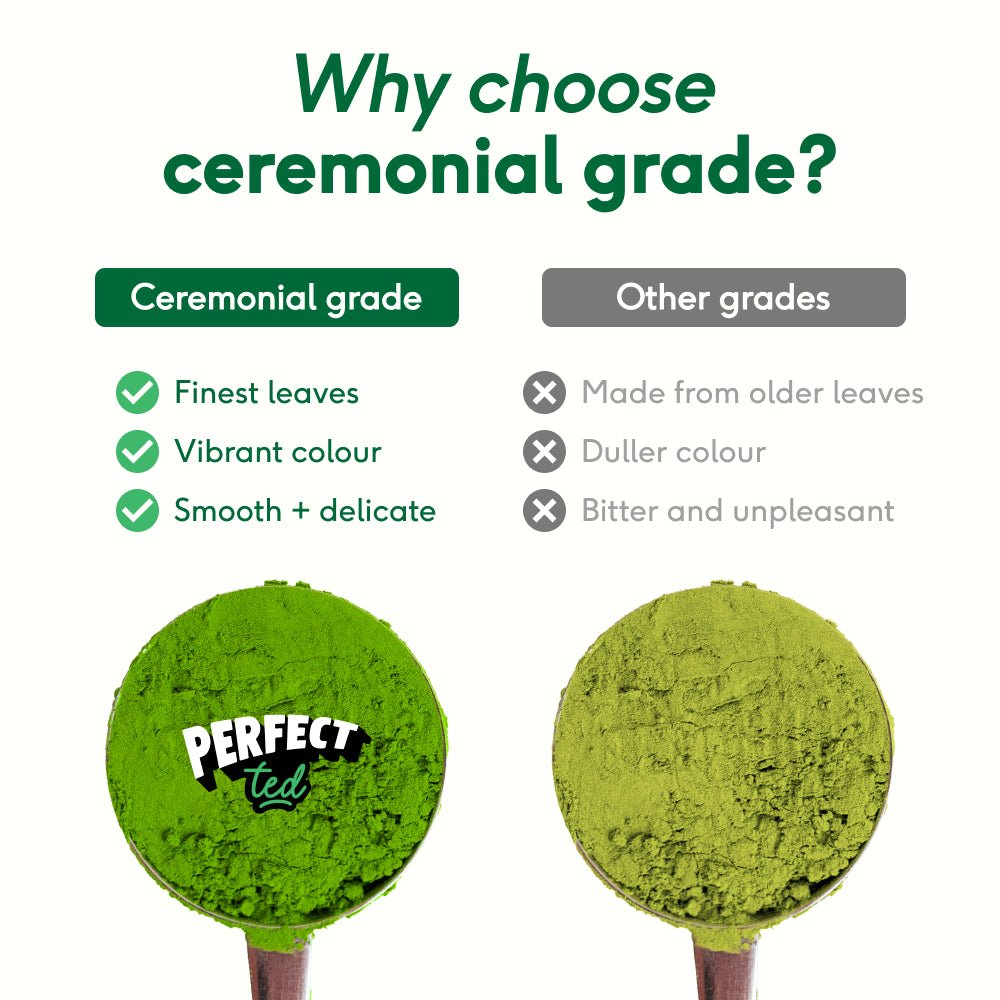 protein matcha latte - white chocolate - PerfectTed - Matcha Latte