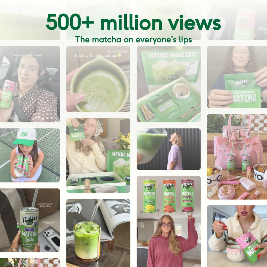 single serve matcha - PerfectTed - Matcha Powder