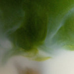 single serve matcha - PerfectTed - Matcha Powder