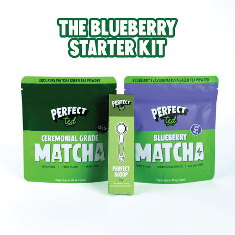 the blueberry starter kit - PerfectTed - Matcha Powder