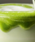 vanilla matcha powder - PerfectTed - Matcha Powder